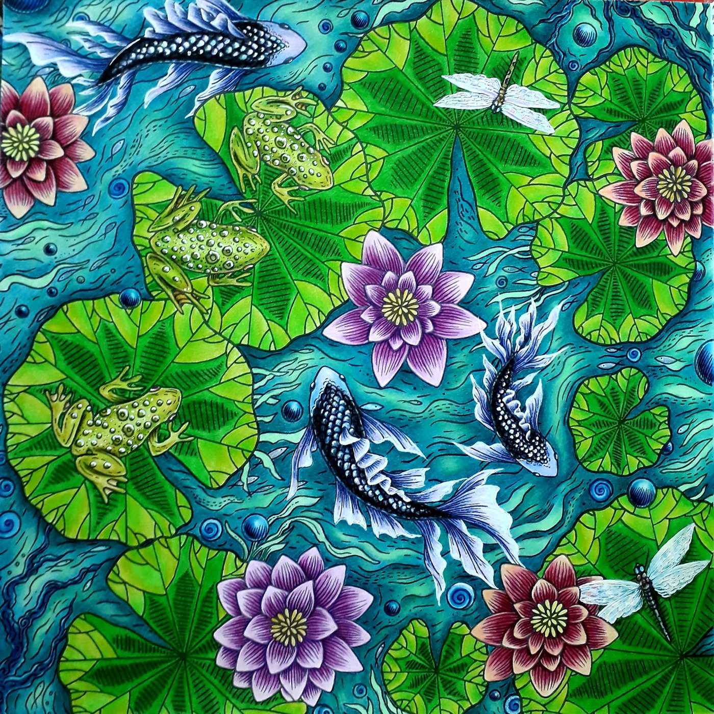 Работа от lika.coloring