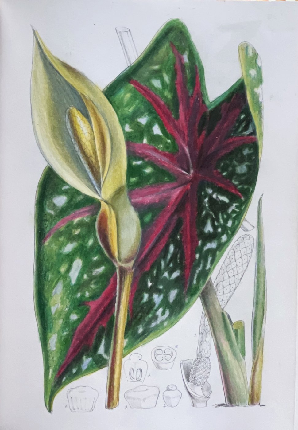 Работа от Anastasia Sakharova