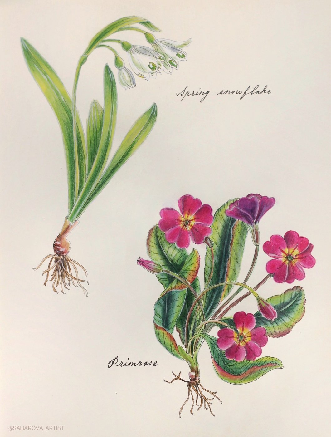 Работа от Anastasia Sakharova