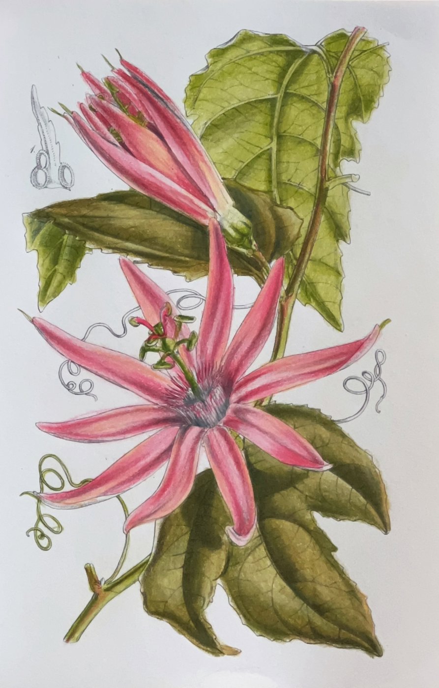 Работа от Anastasia Sakharova