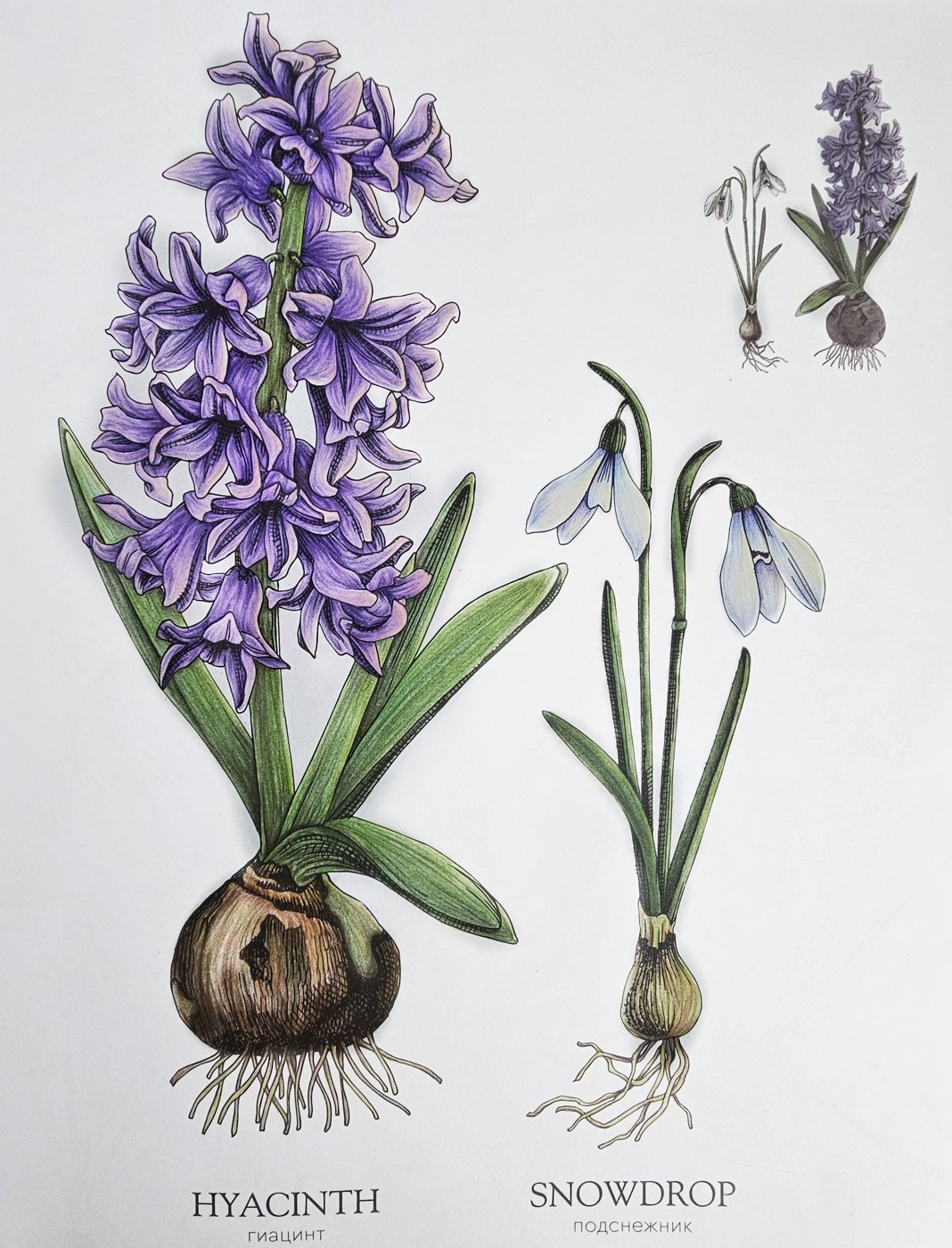 Работа от DanaBlack