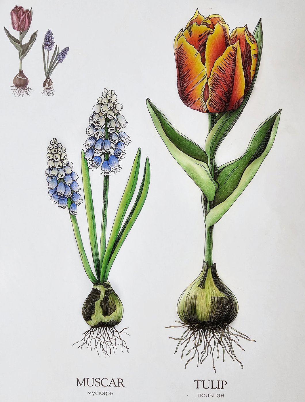 Работа от DanaBlack