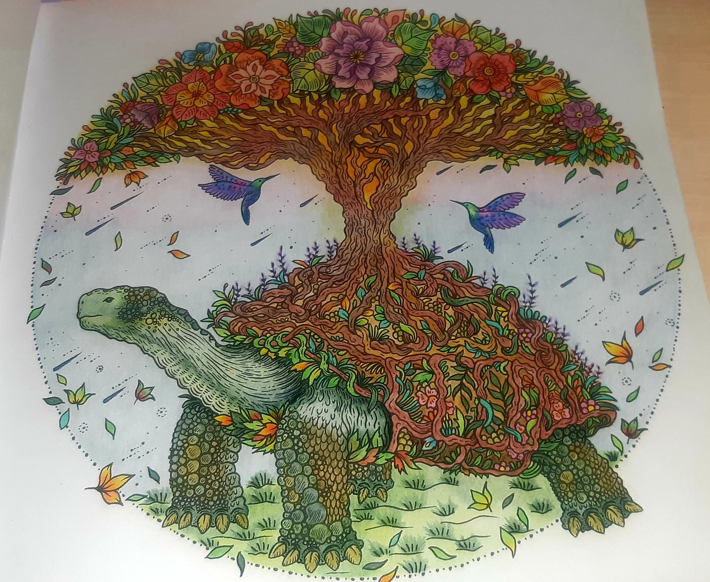 Черепаха (первая работа на челлендж) от KSENIA 89