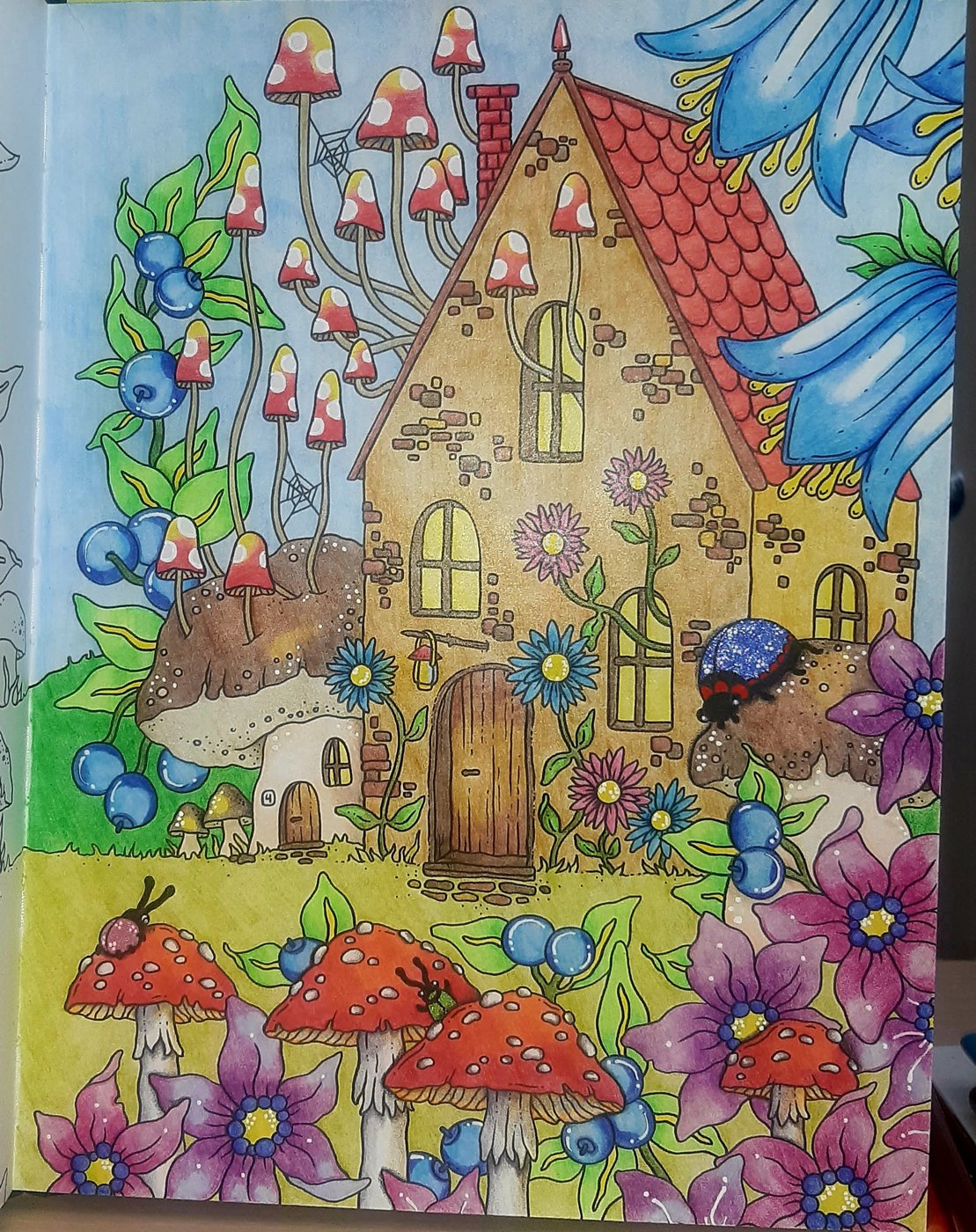 Грибы от KSENIA 89