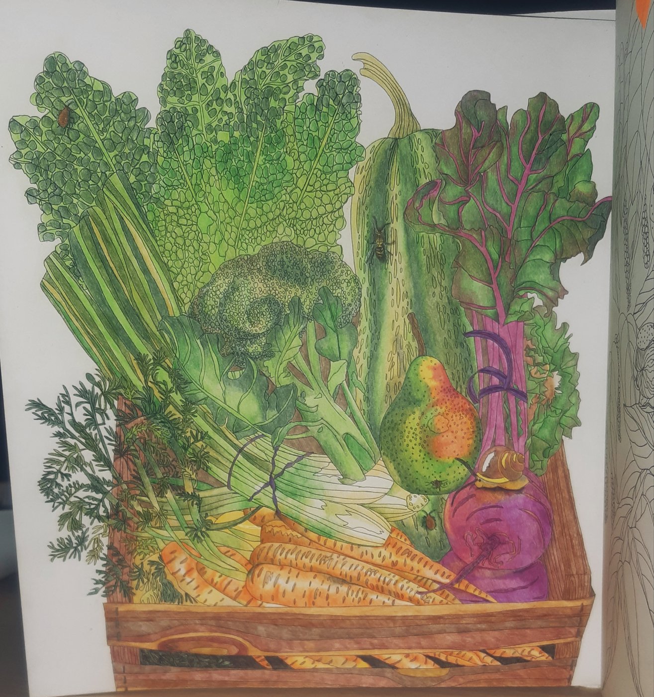 Овощи от KSENIA 89