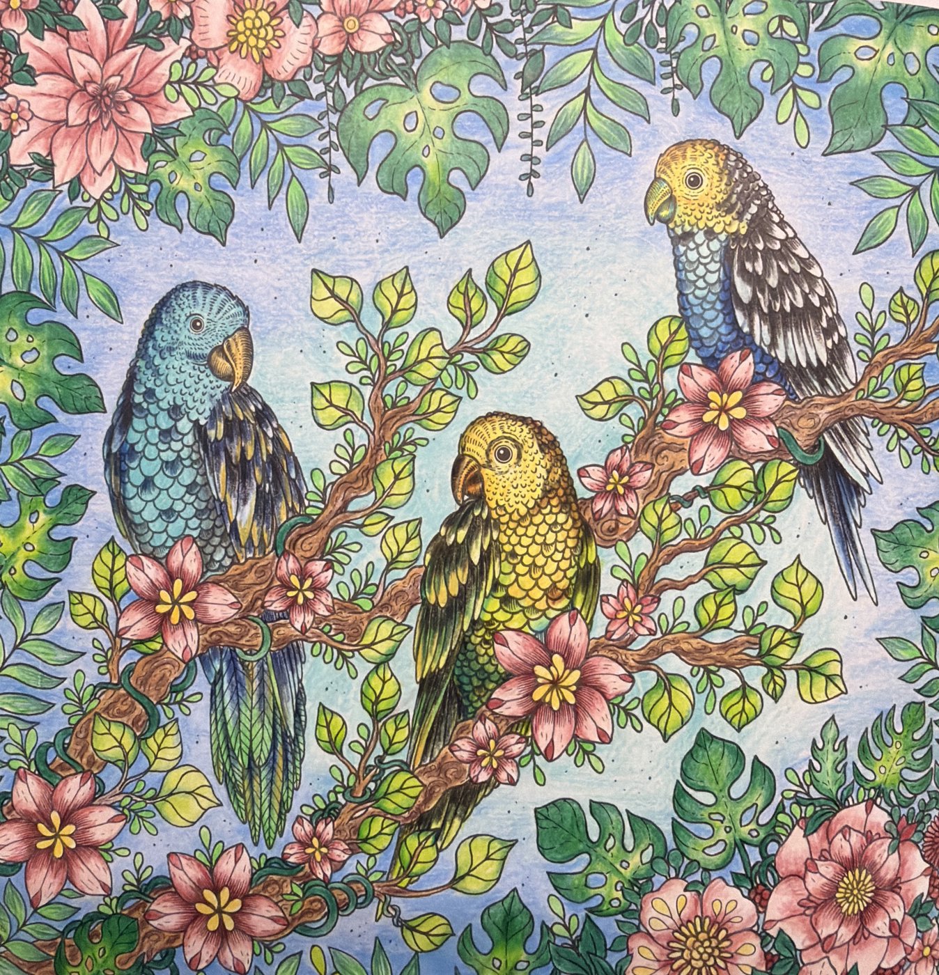 Работа от Dita