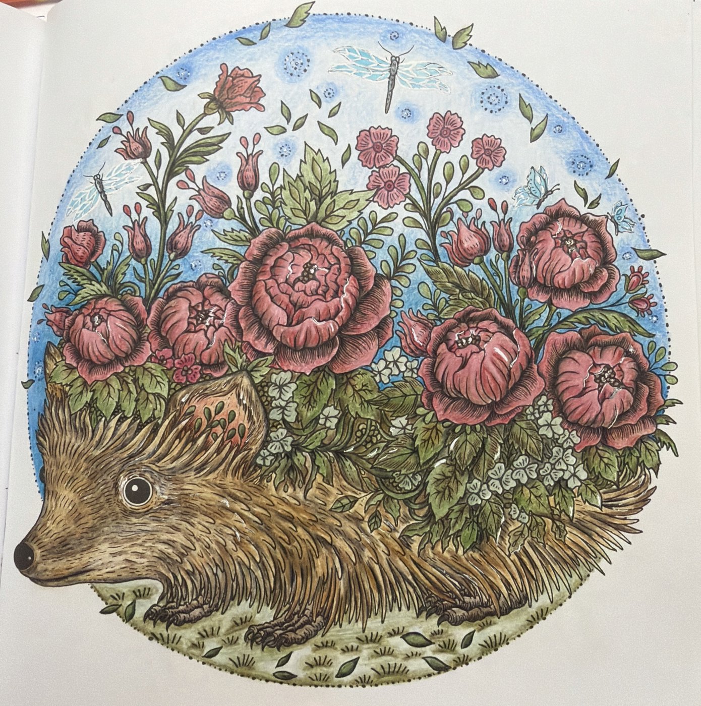 Работа от Dita