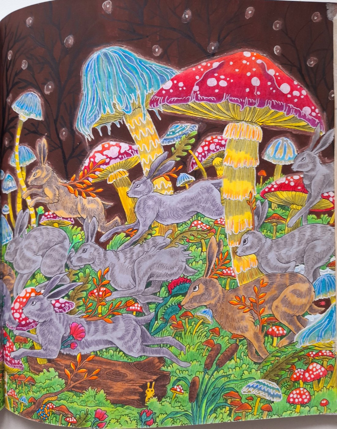 Работа от Olesya (2/2)