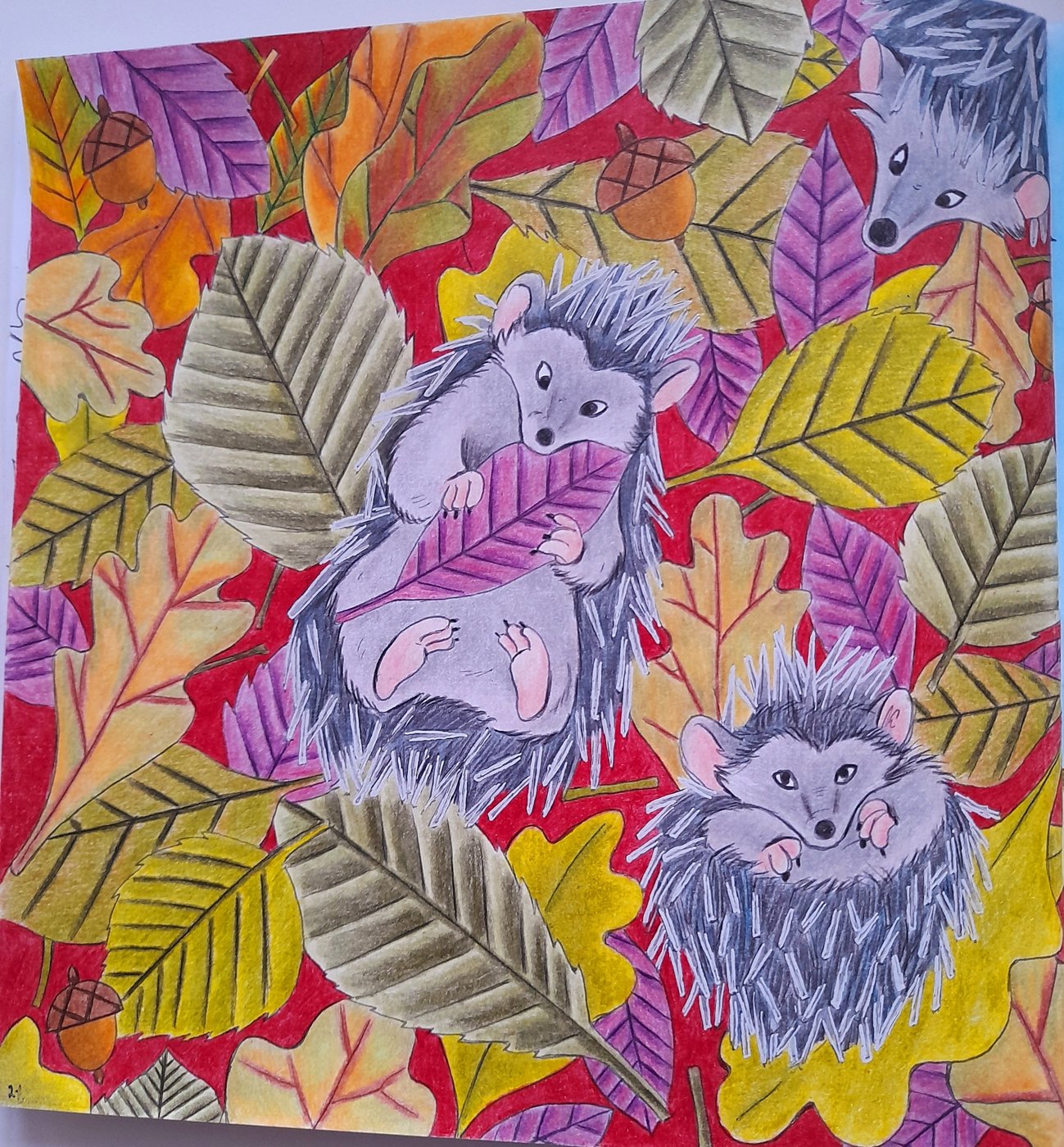 Работа от Olesya