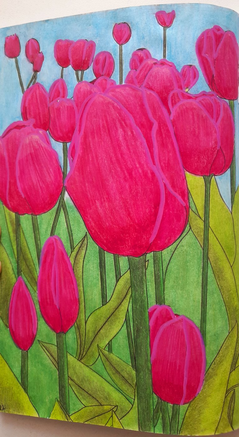 Работа от Olesya