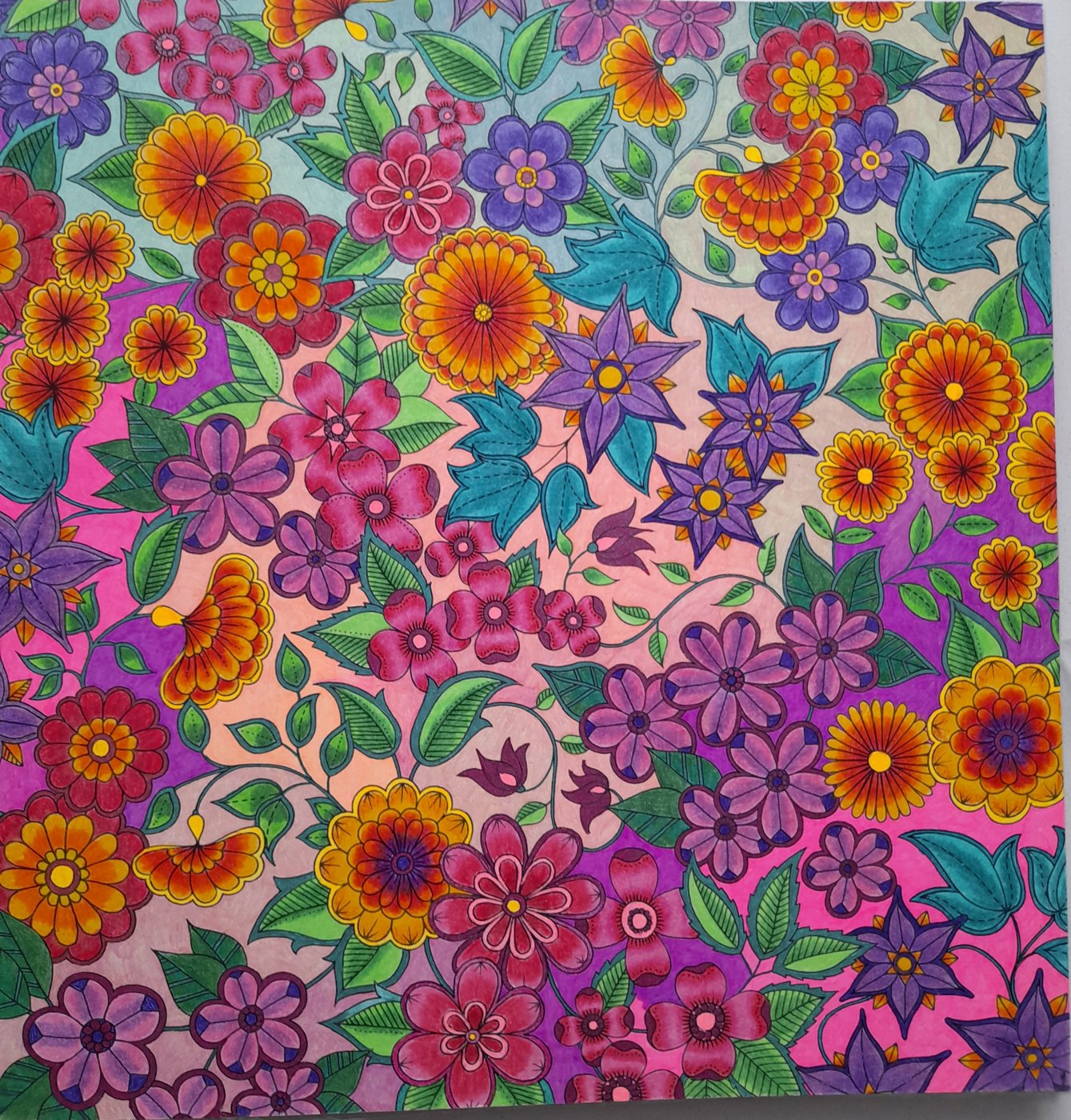 Работа от Olesya (2/2)