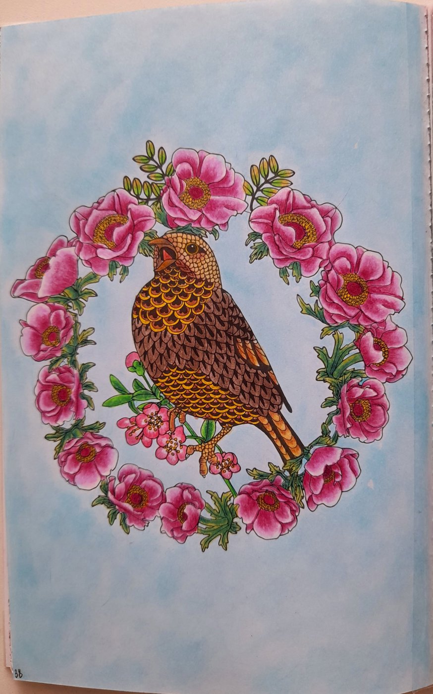 Работа от Olesya