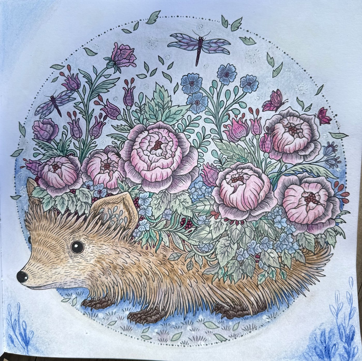 Работа от Eslova