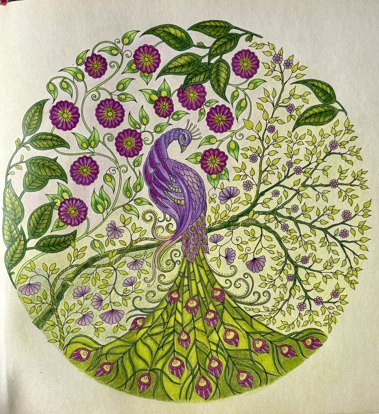 Работа от Eslova