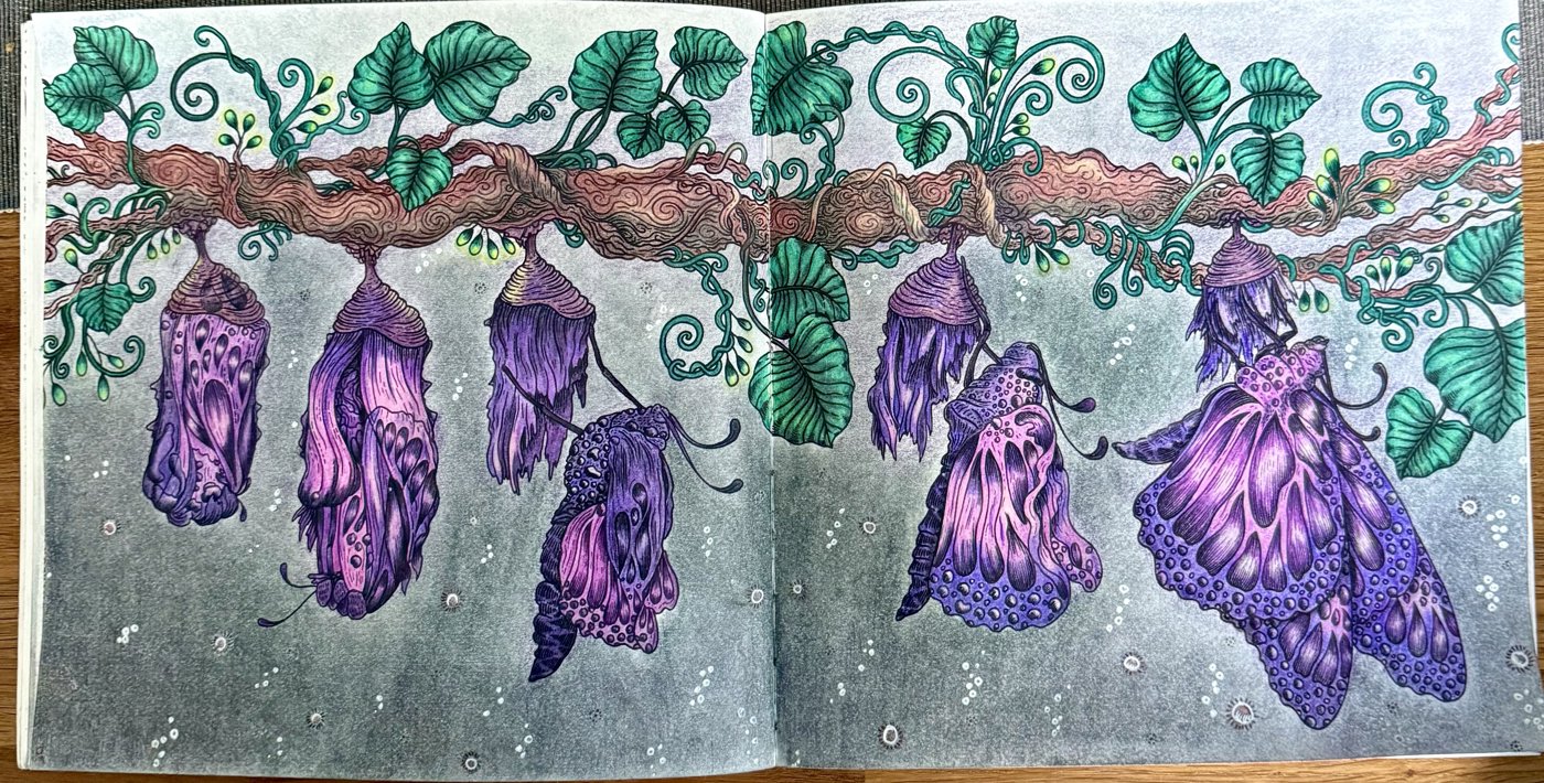 Работа от Eslova (1/3)