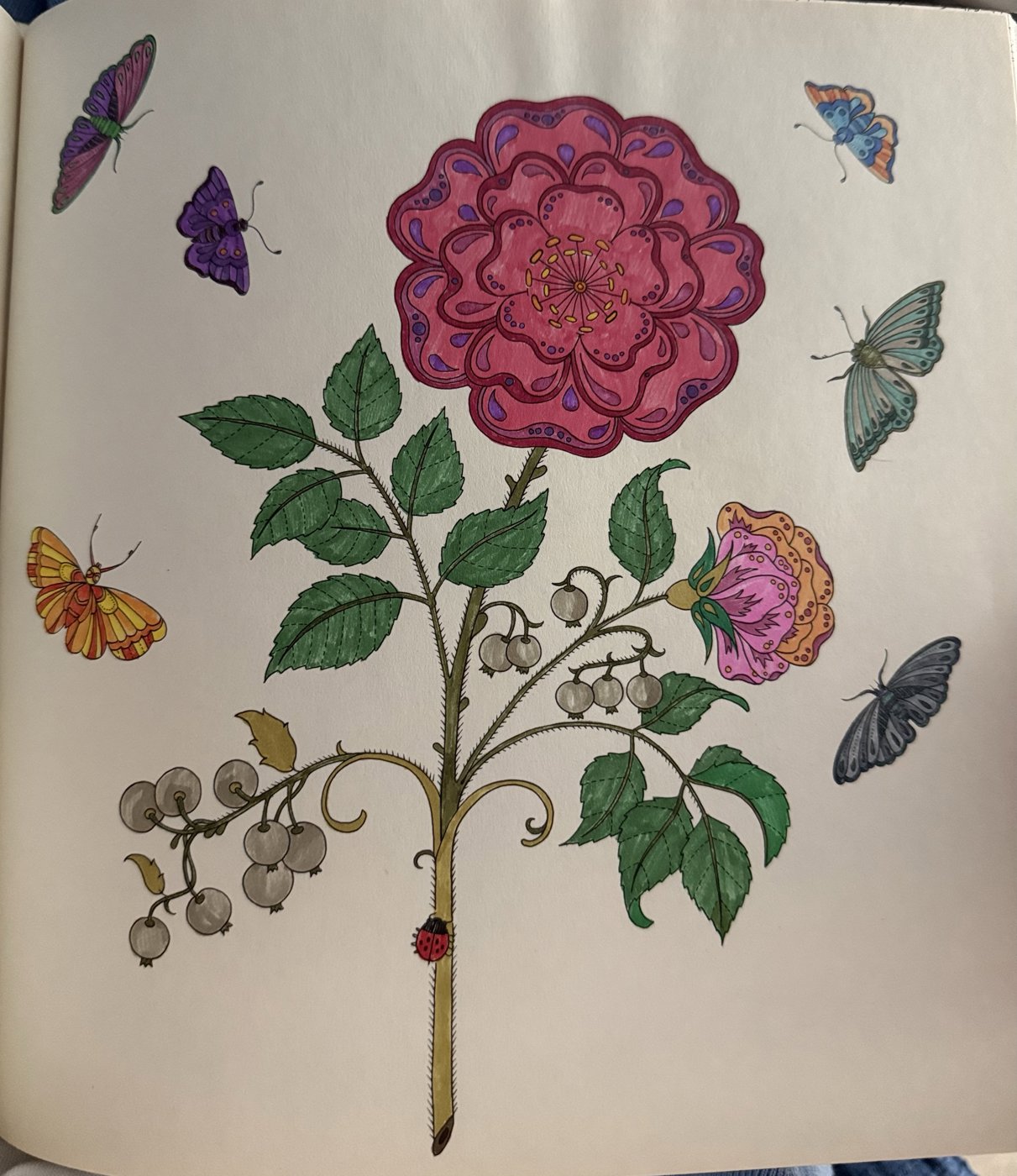 Работа от Eslova