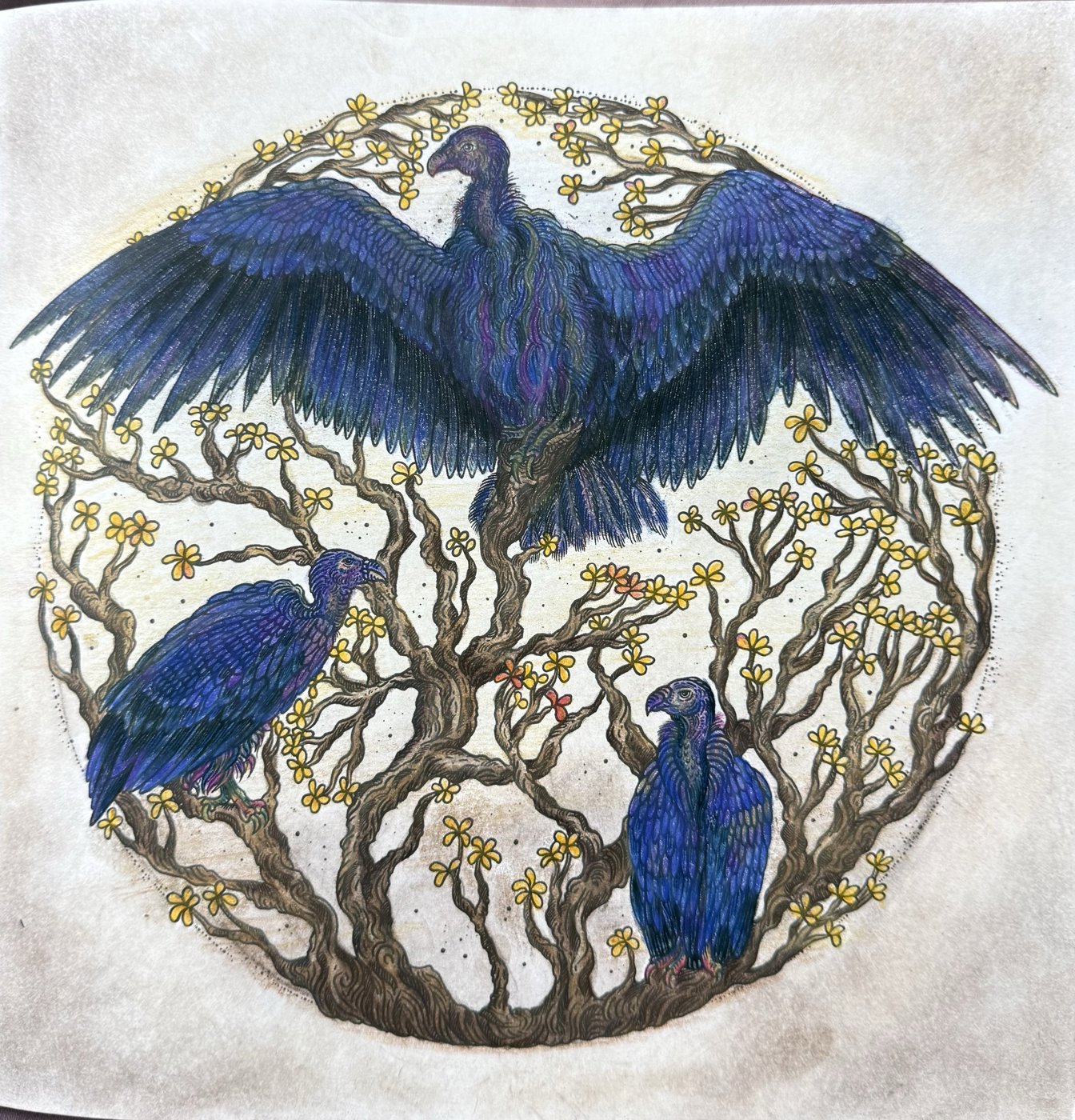 Работа от Eslova