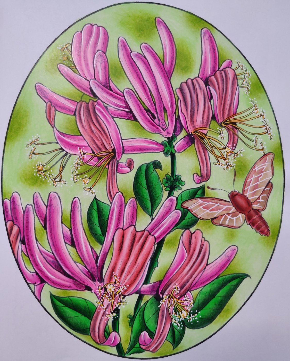 Работа от Loli