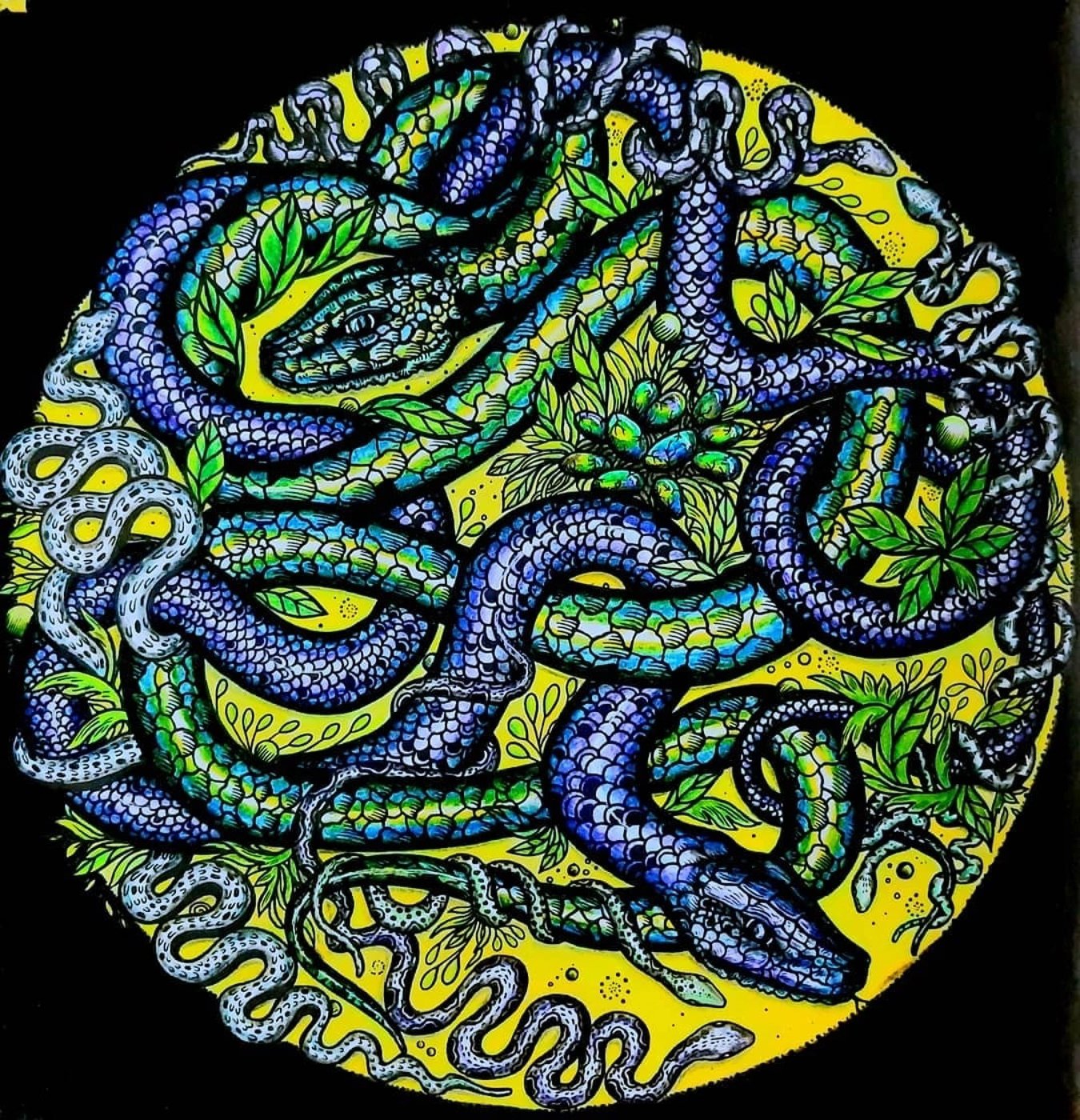 Работа от Акsi_613