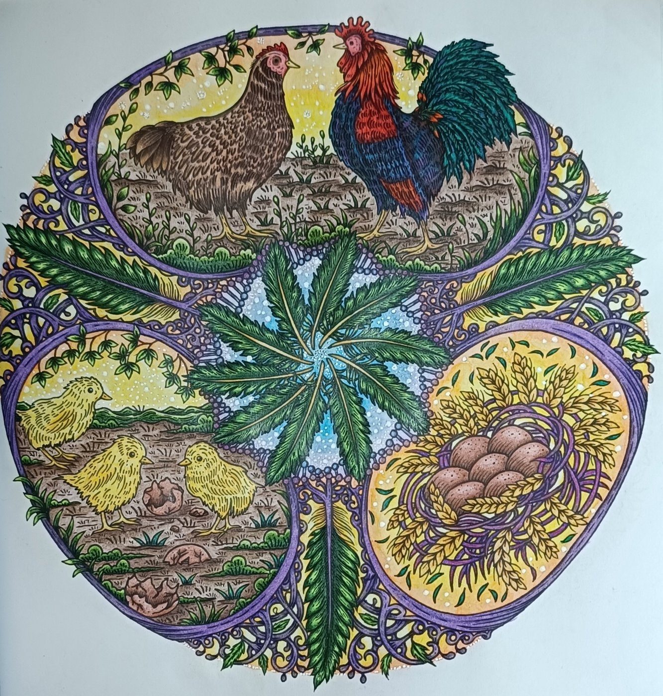 Круг жизни от Kate