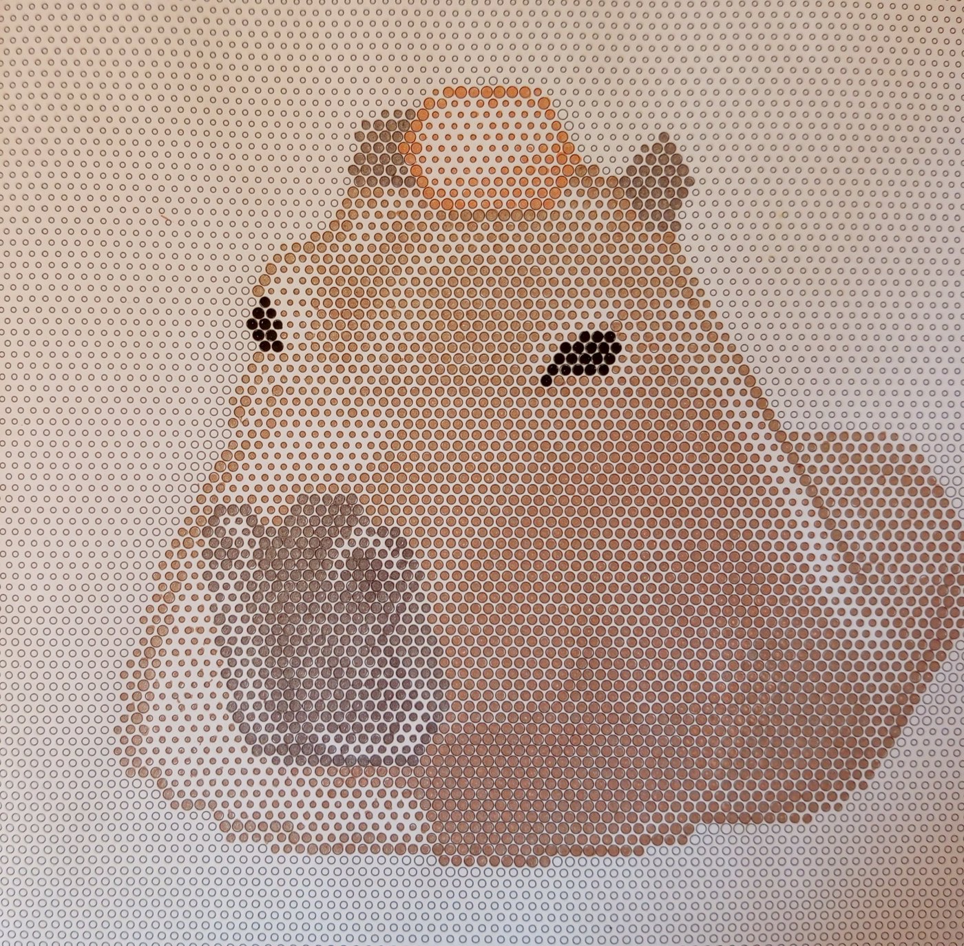 Капибара от Ирина Т.