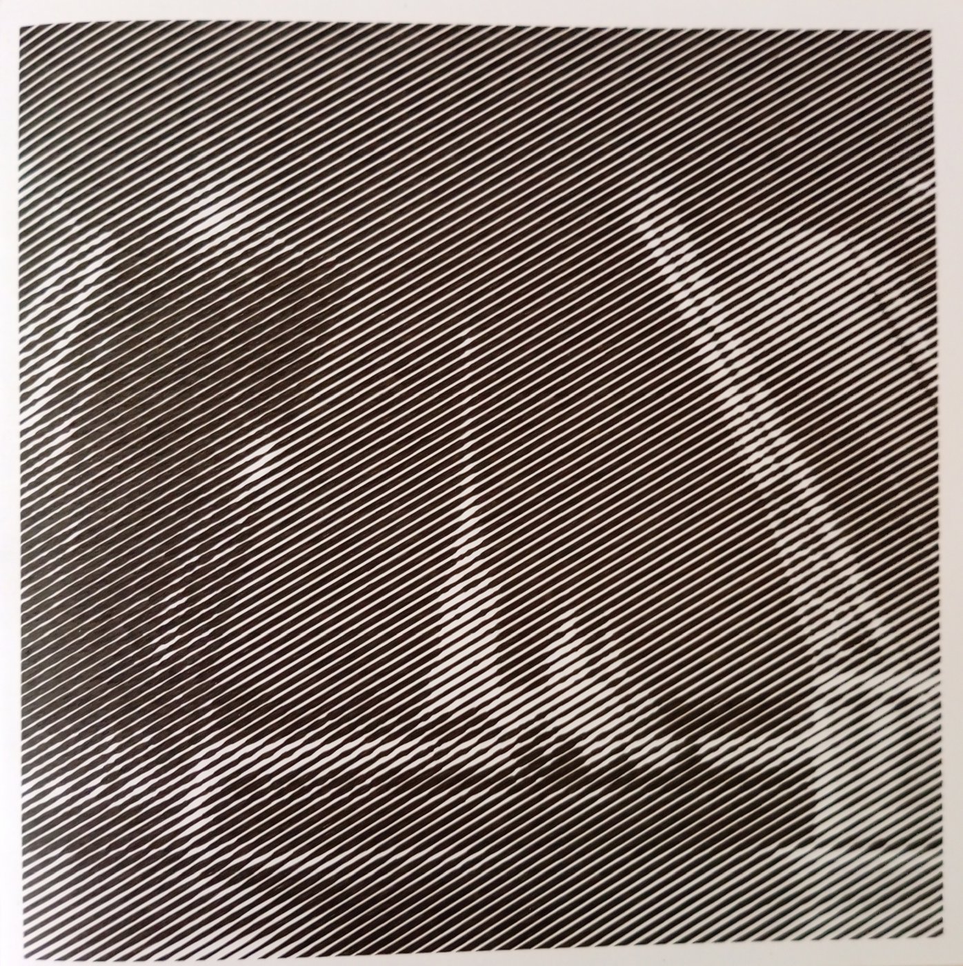 Дворцовый мост (Санкт-Петербург) от Ирина Т.