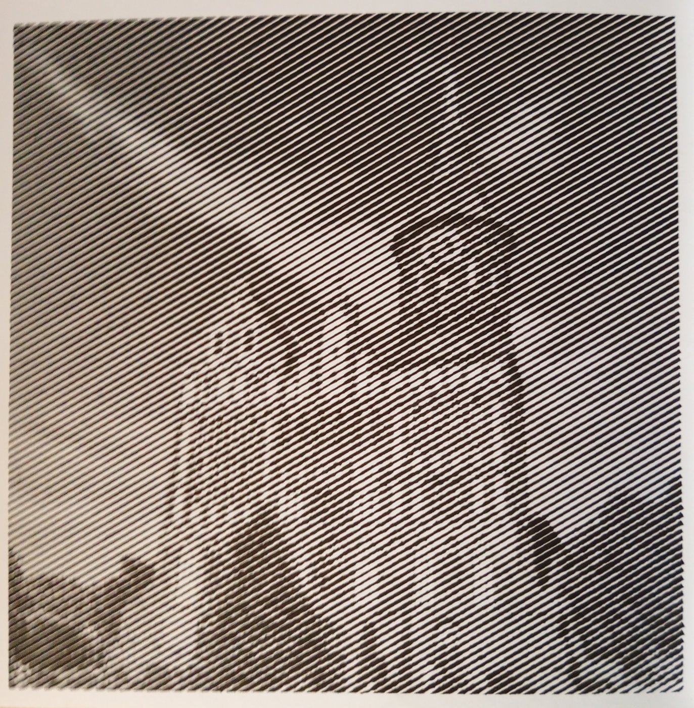 Кафедральный собор (Калининград) от Ирина Т.