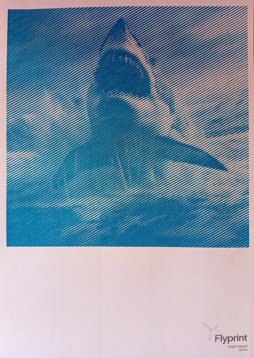 Акула от Ирина Т.