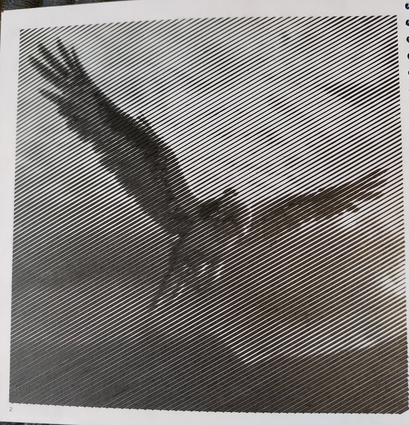 Клювокрыл от Светлана