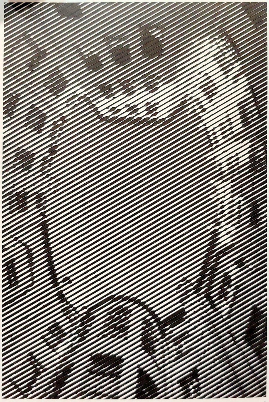 Двор Котик от Melamory