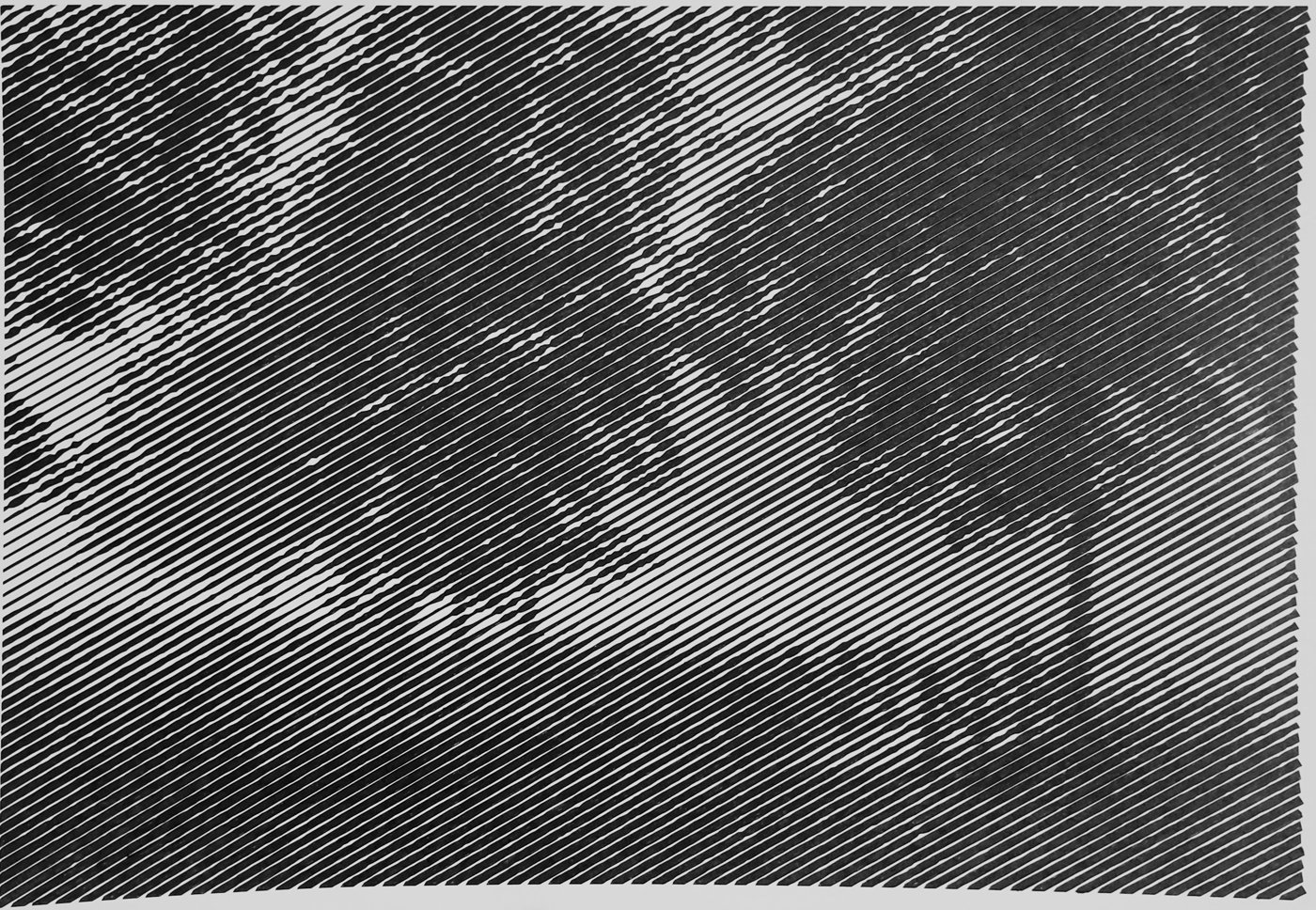 3.1 Природа лета от Melamory