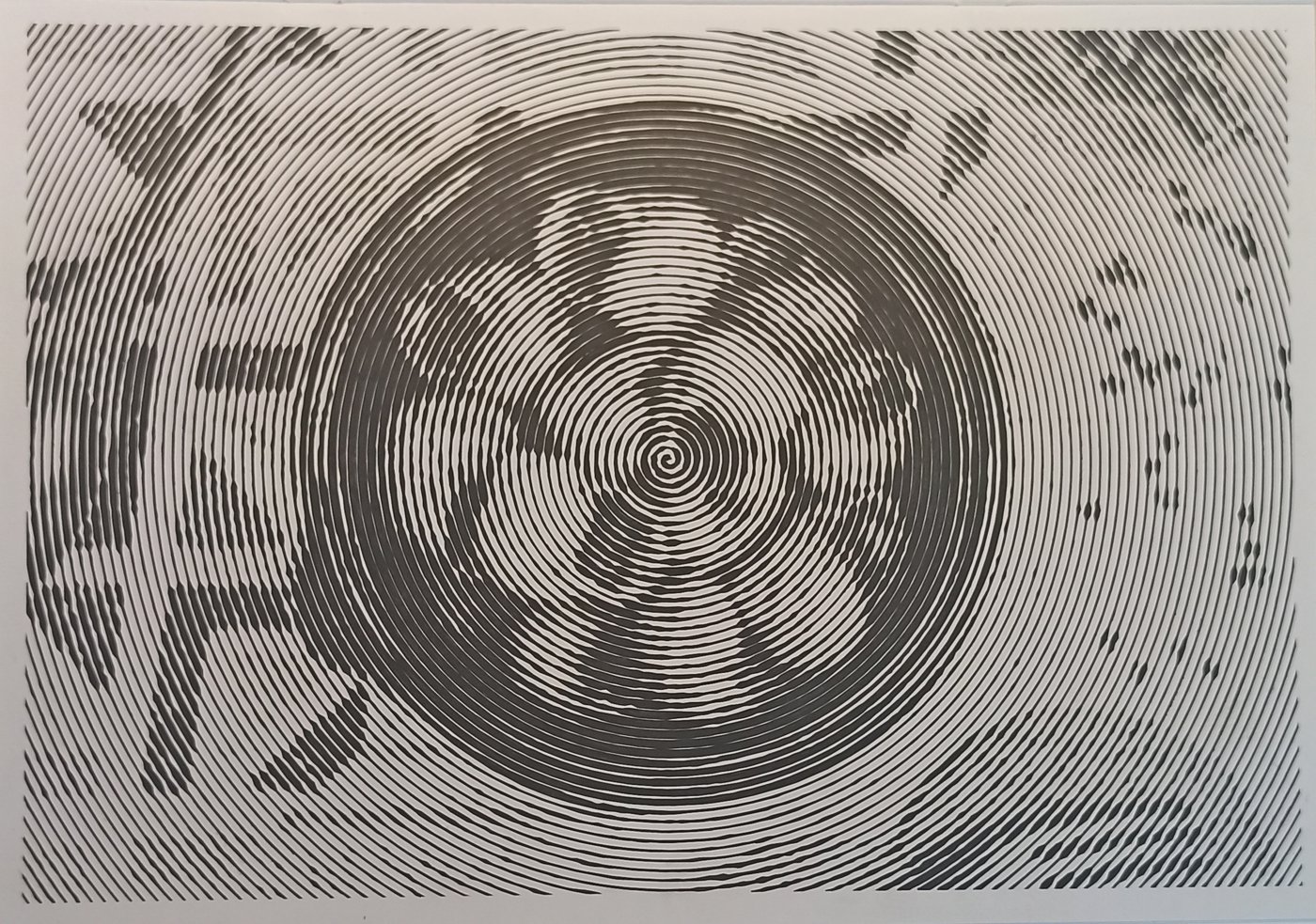 Улитки от Navcitana