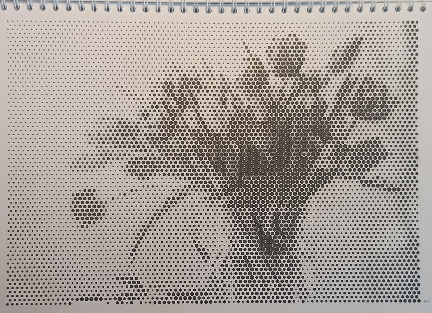 4.2 Тюльпаны от Navcitana