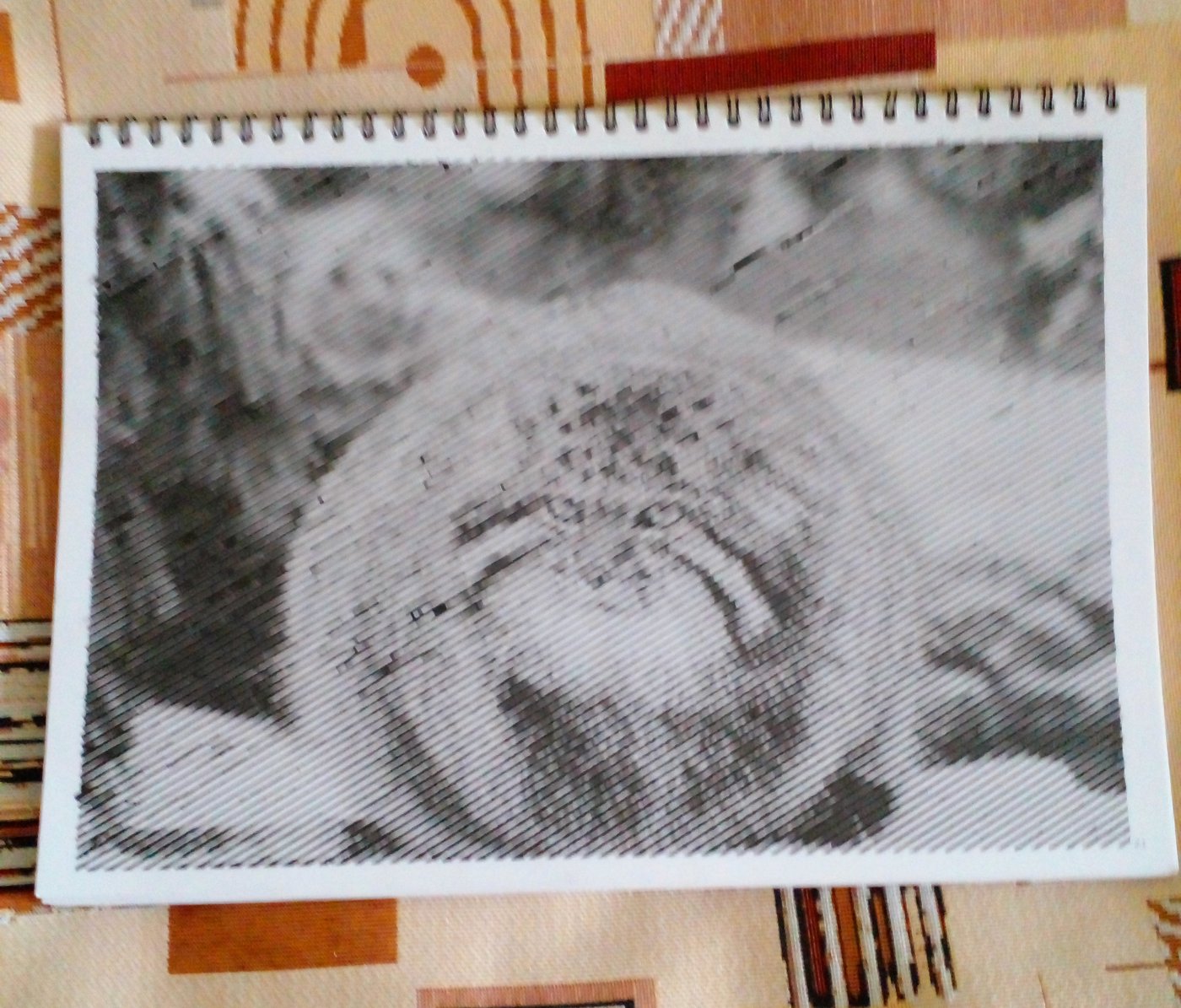 Манул от Rimma