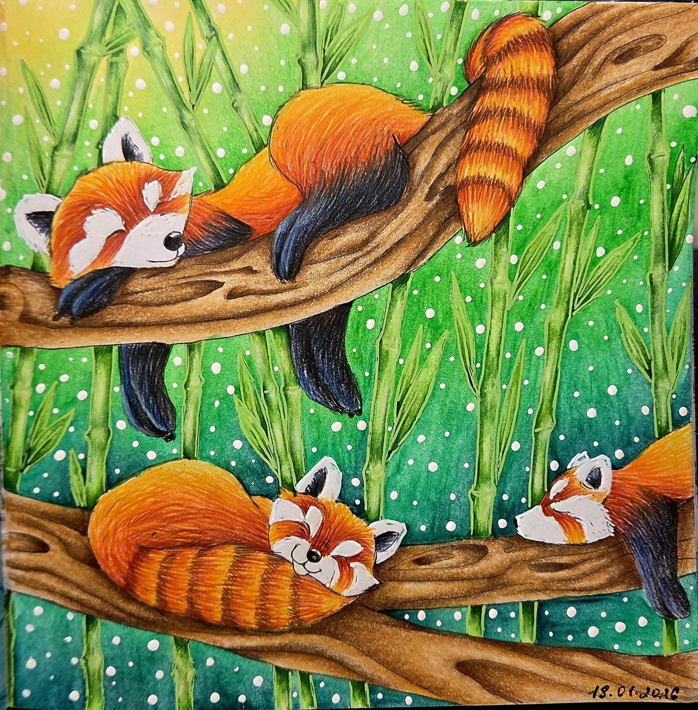 Работа от Яна