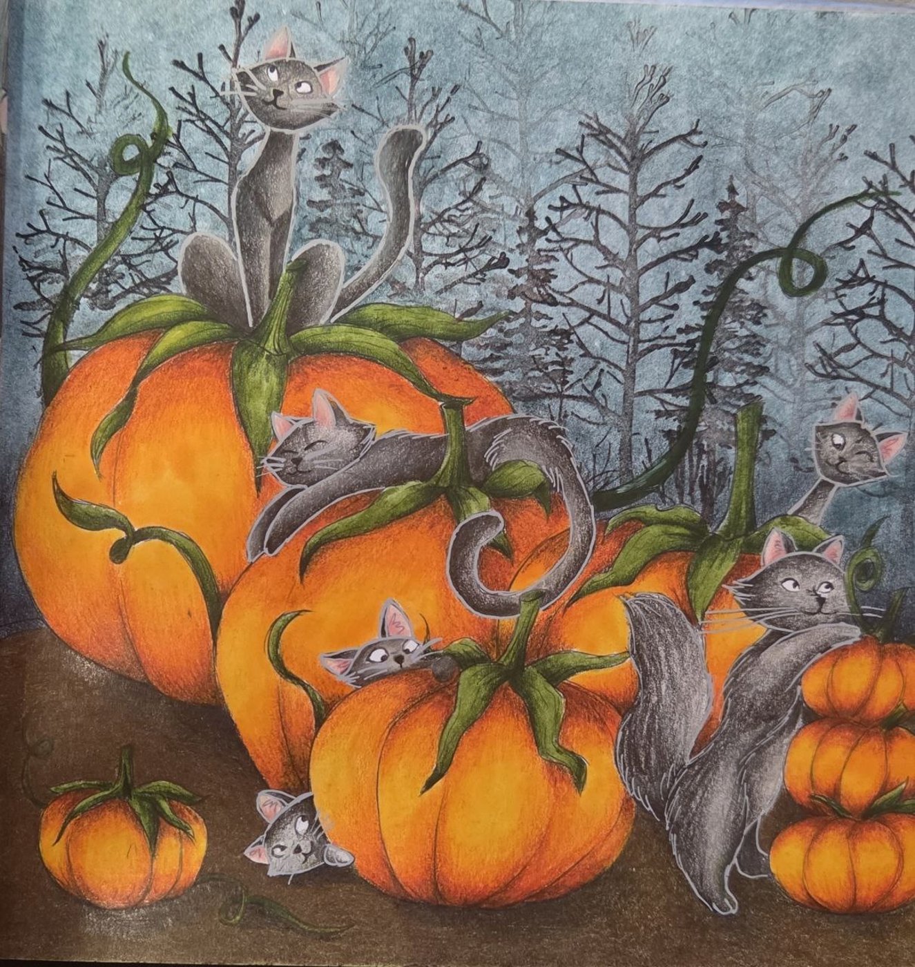 Работа от Яна