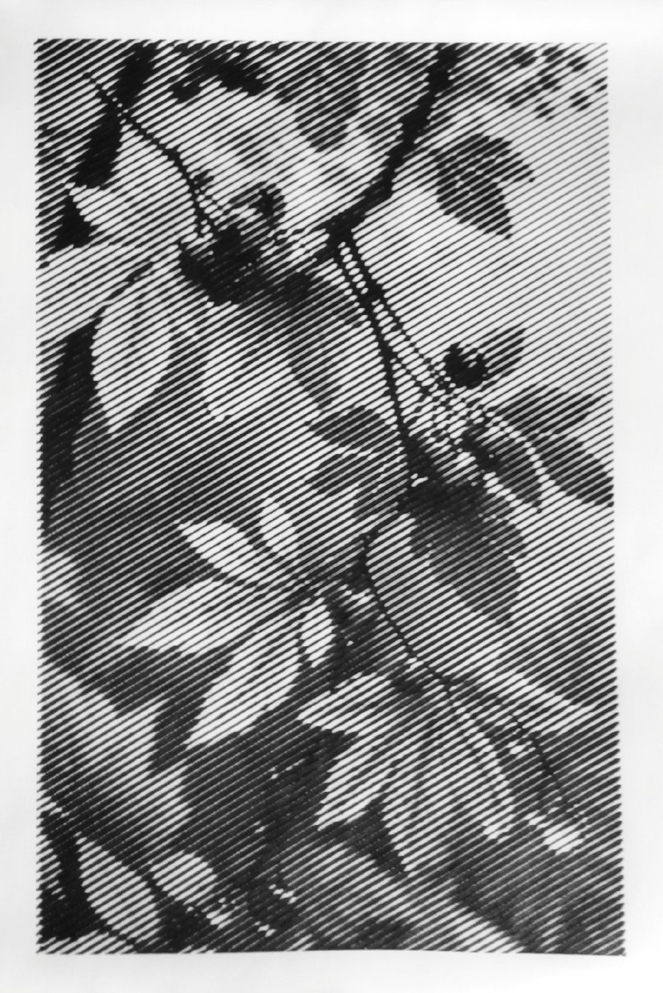 Работа от vale-tina