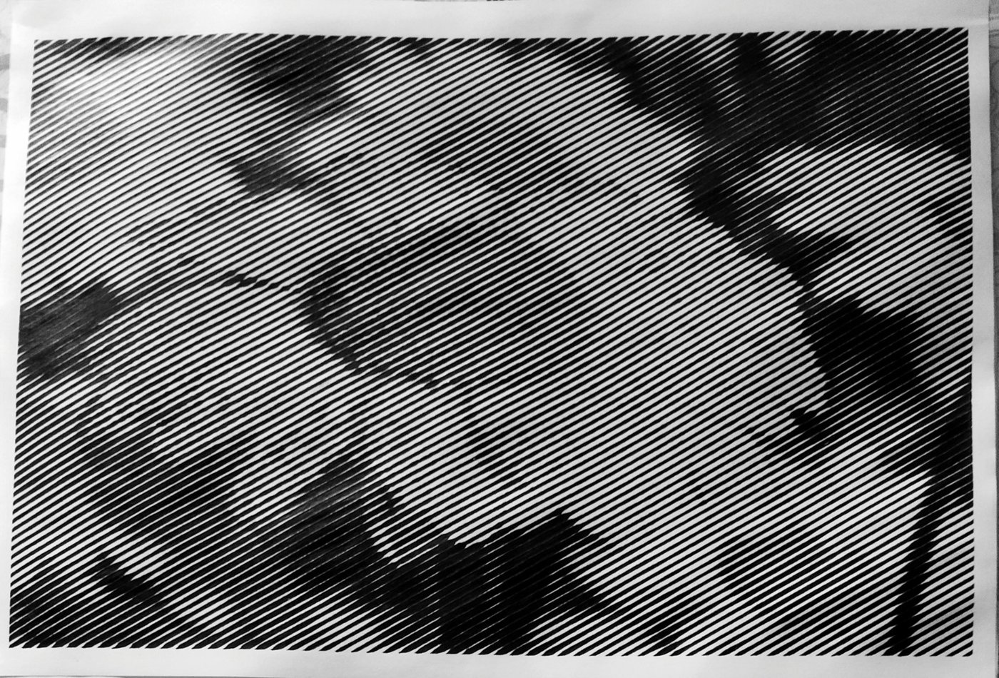 Ромашки от vale-tina