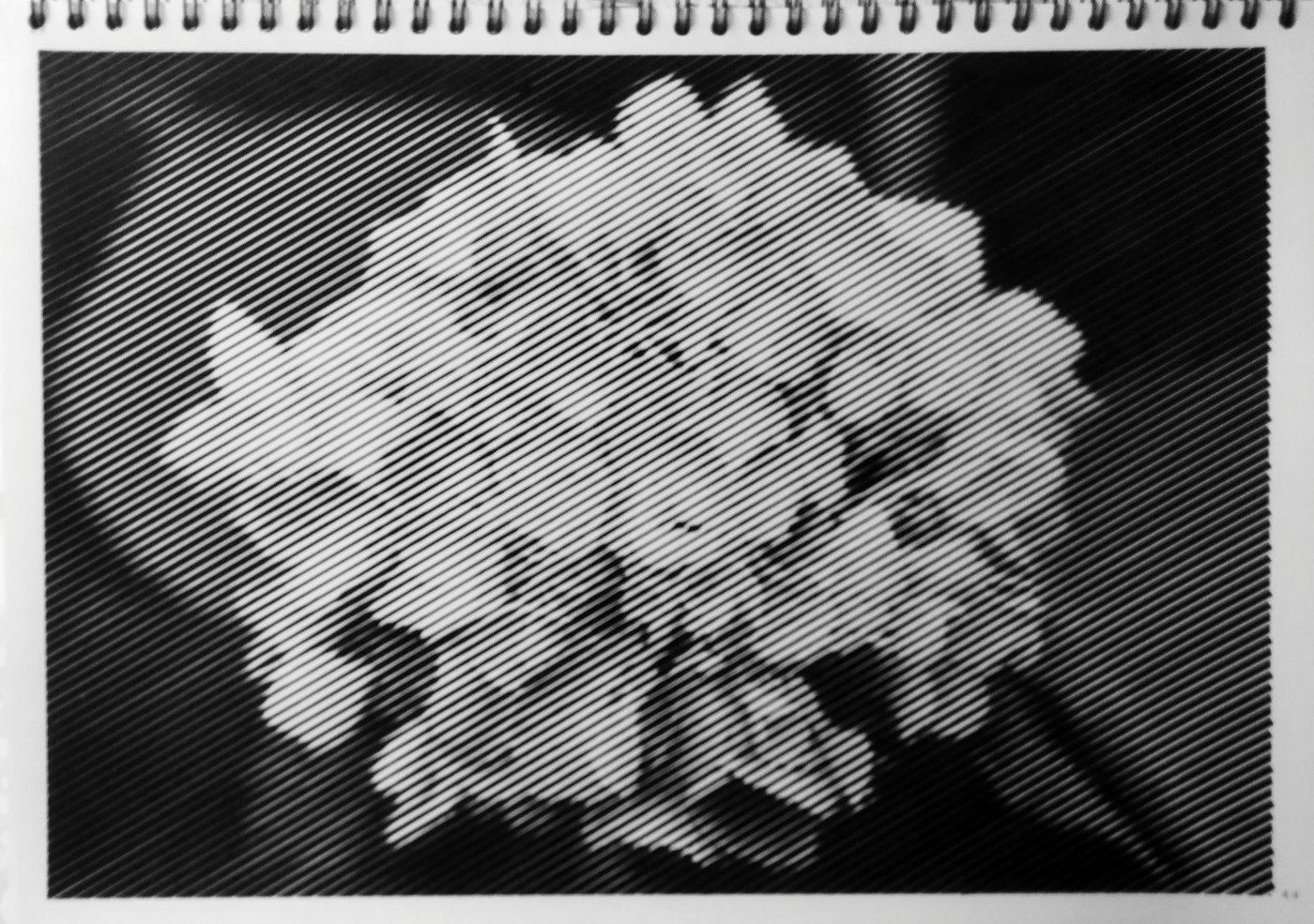 Гортензия от vale-tina