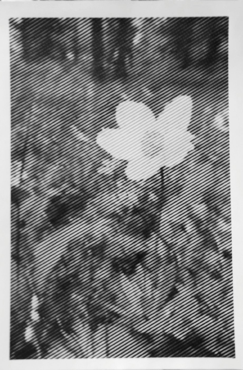 Работа от vale-tina