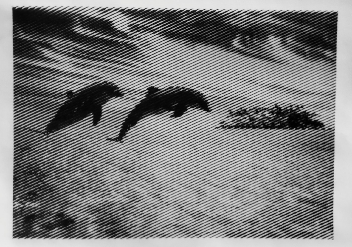 Работа от vale-tina