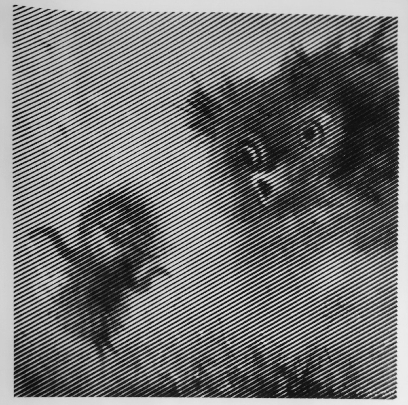 Ёжик в тумане от vale-tina