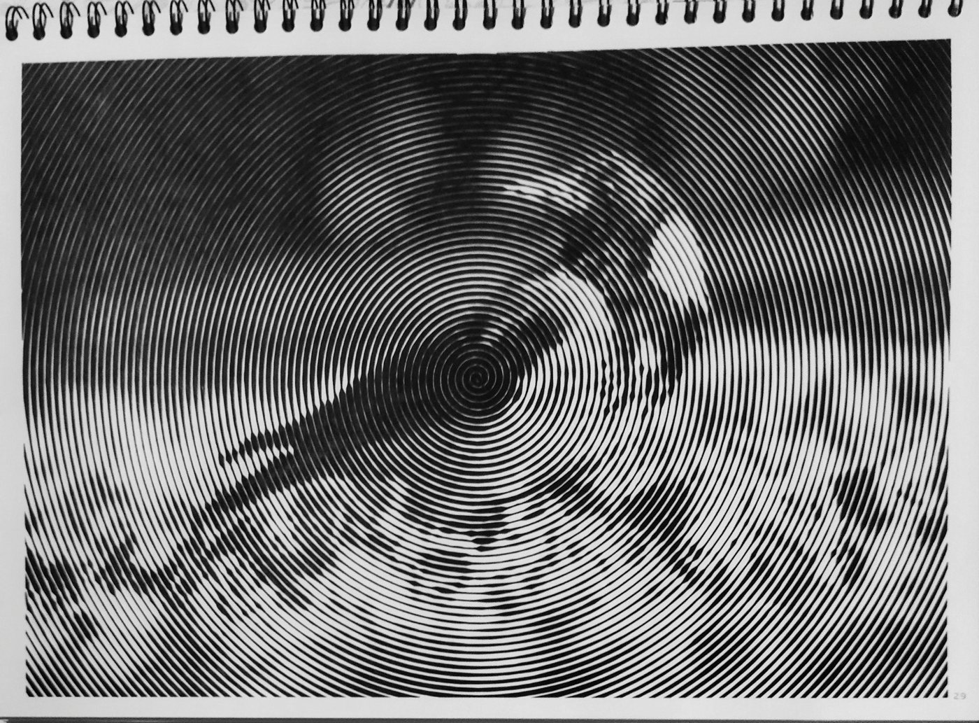 Ворона от vale-tina