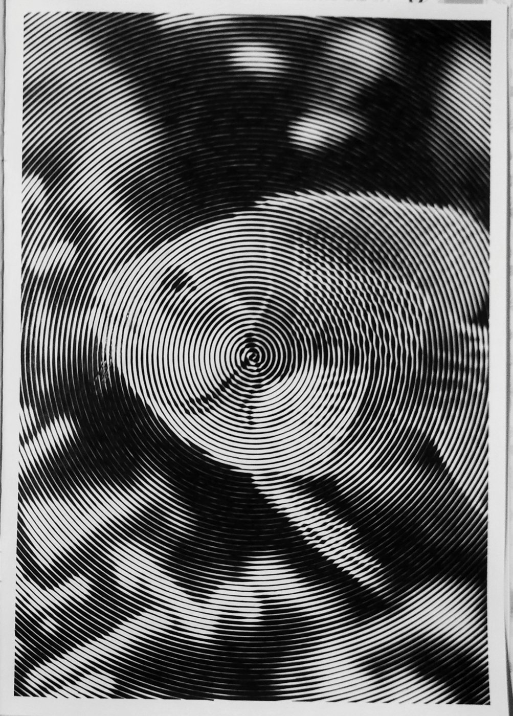 Рыба-попугай от vale-tina