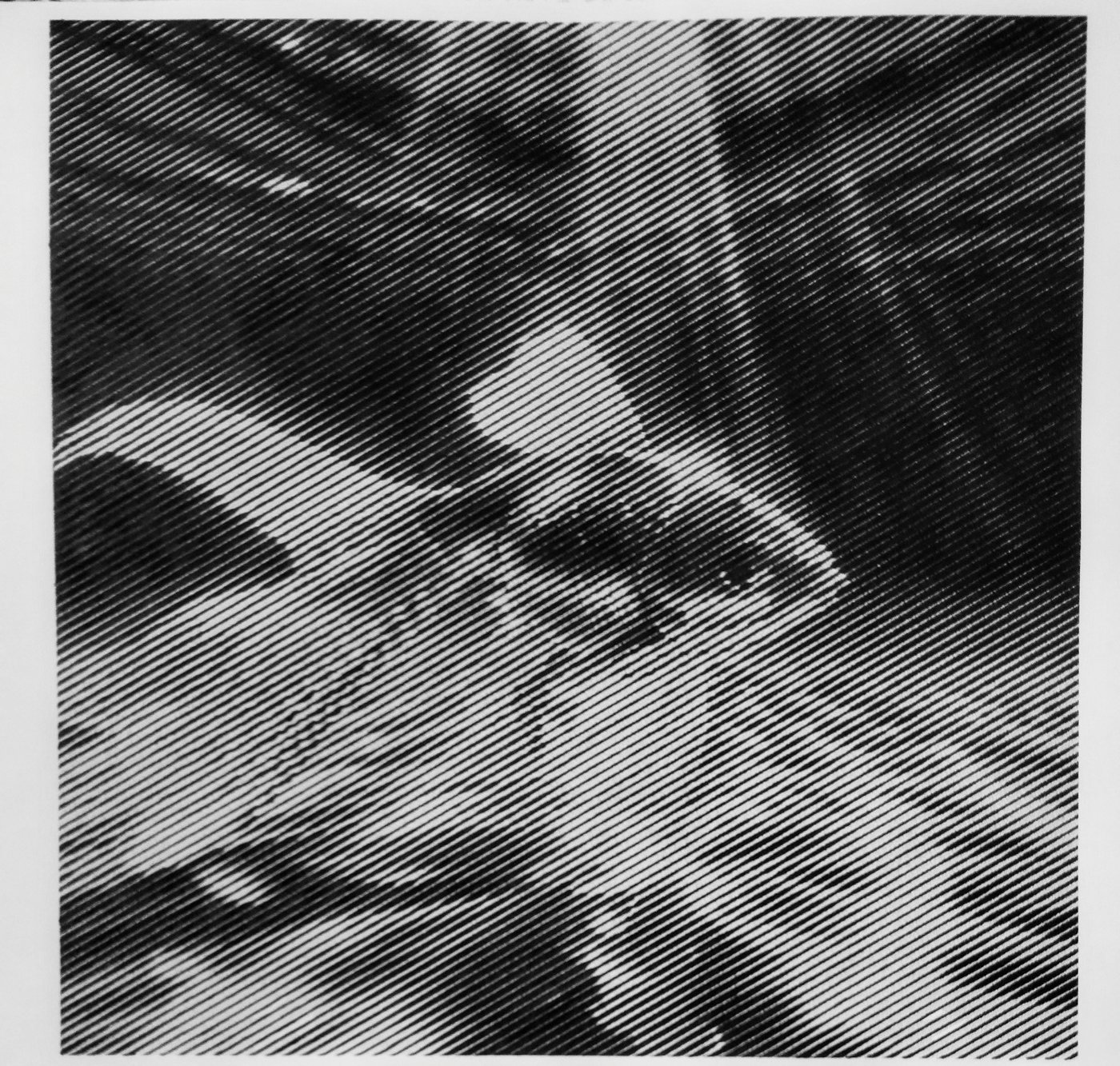 Золотая рыбка от vale-tina