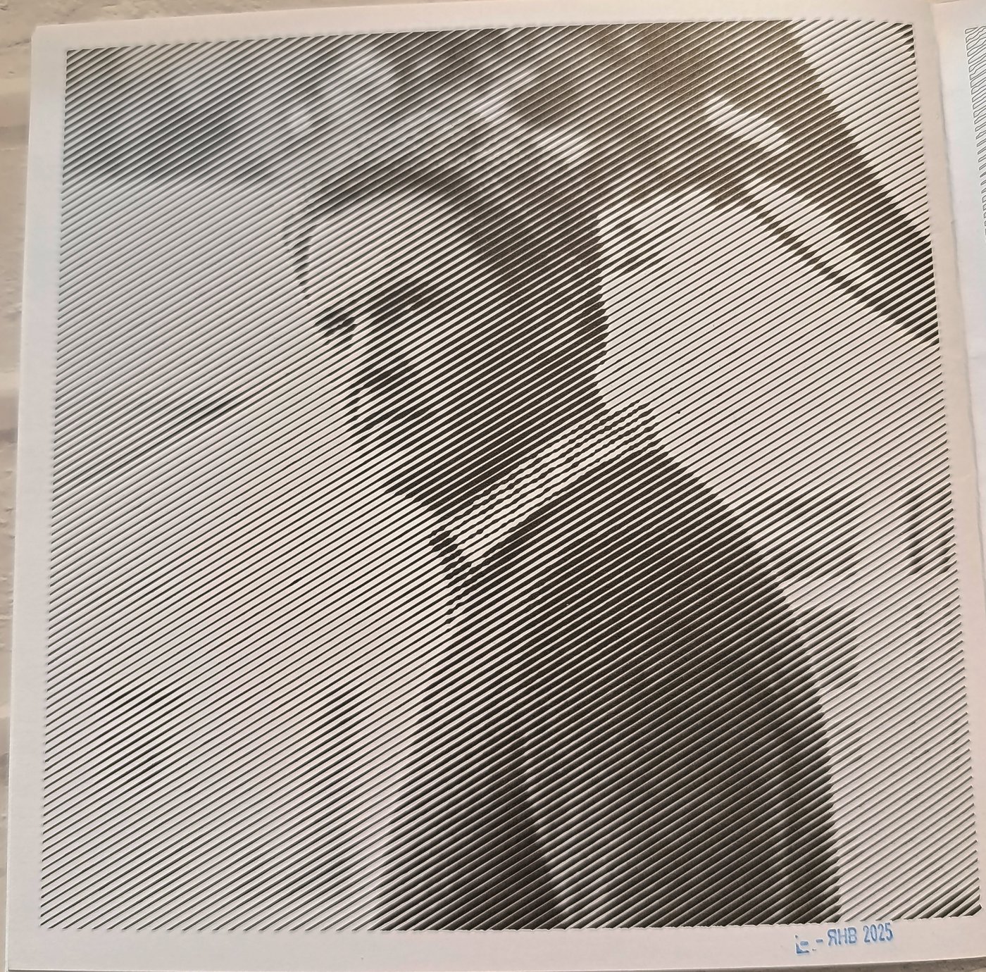 ПОЛ ЯНГ от Elvira