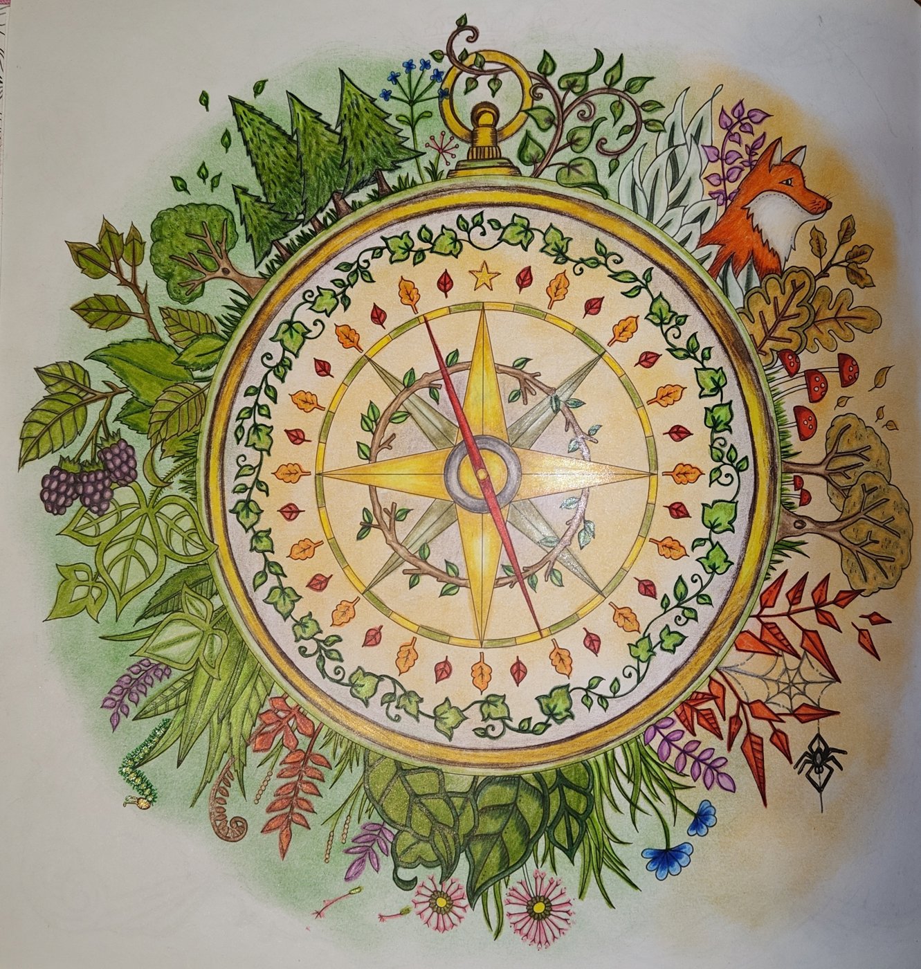 Компас от Tatiana Svet