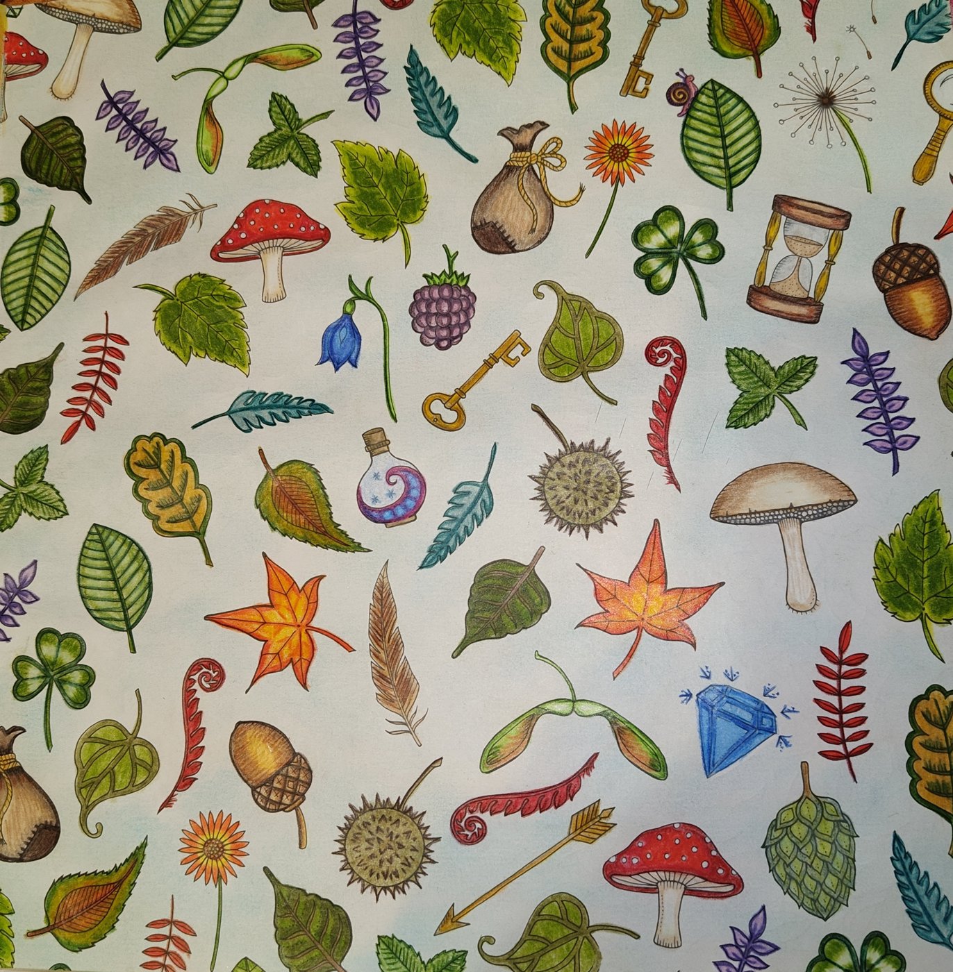 Лесные сокровища от Tatiana Svet