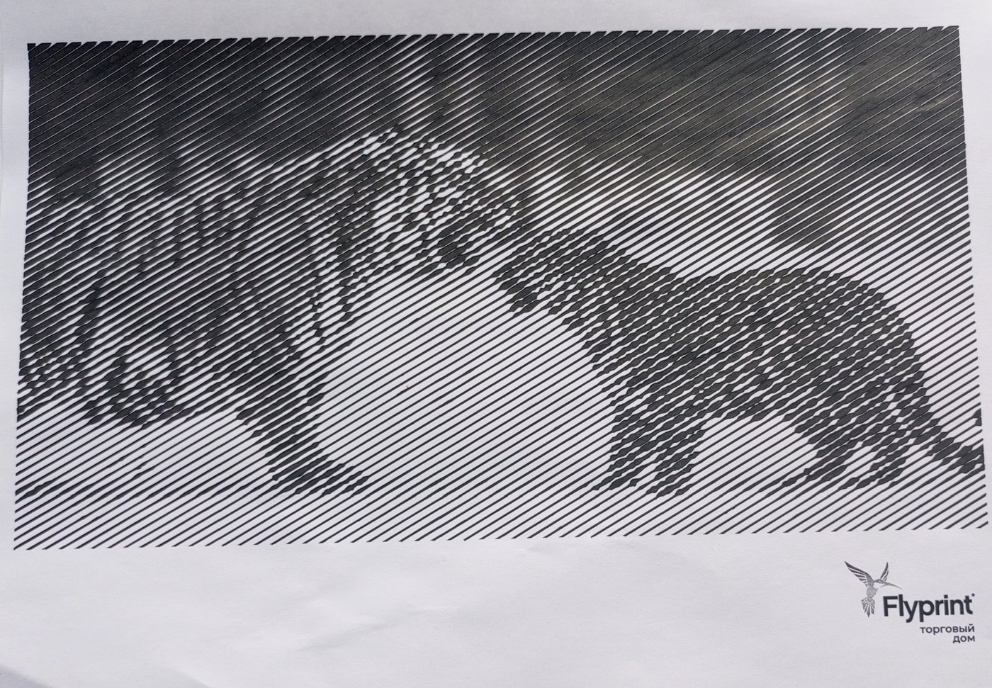 Дикие кошки от Anika Berg