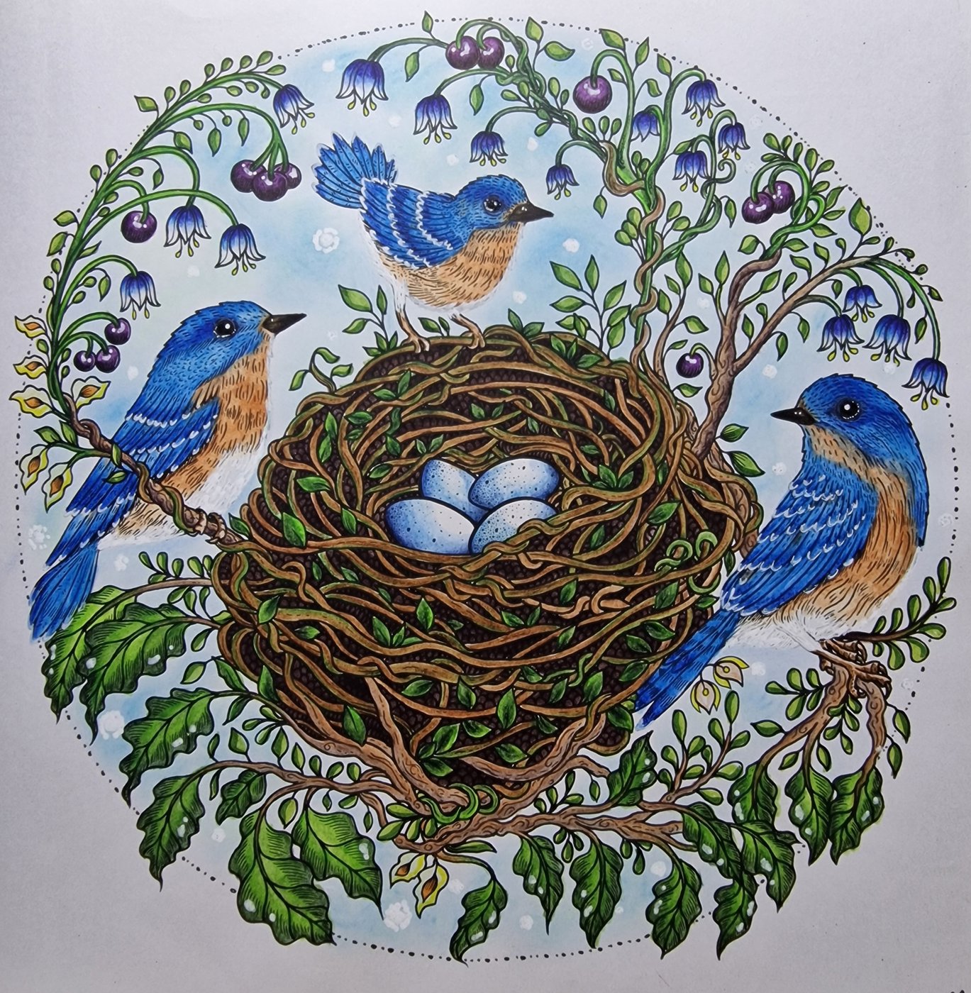Гнездо от Coloring with Marina